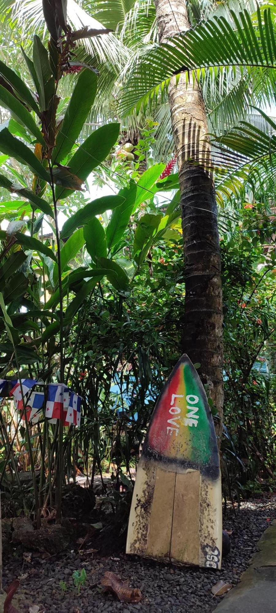 La Y Surf Camp Hotel Bocas del Toro Exterior photo
