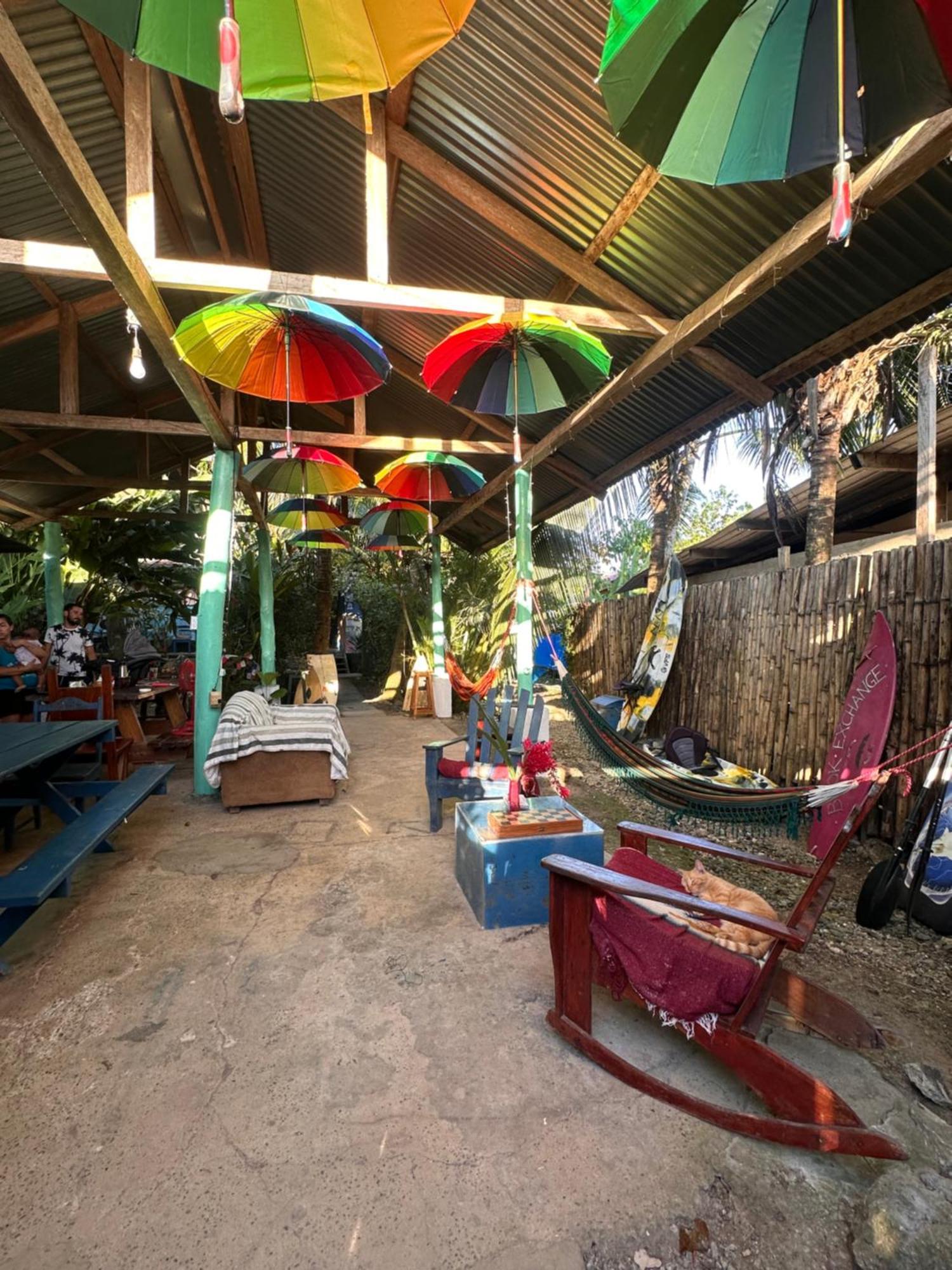 La Y Surf Camp Hotel Bocas del Toro Exterior photo
